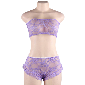 Sexy Women High Waist Purple Full Lace Bra Panty