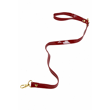 Vinyl leash with wrist strap and carabiner