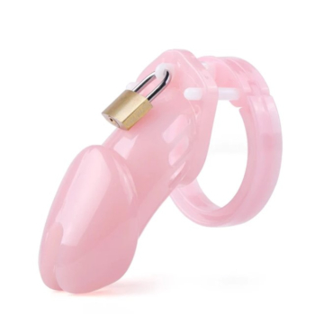 Dixon Maximum Security Chastity Cage - Pink