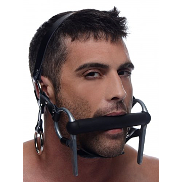 Steed Head Harness