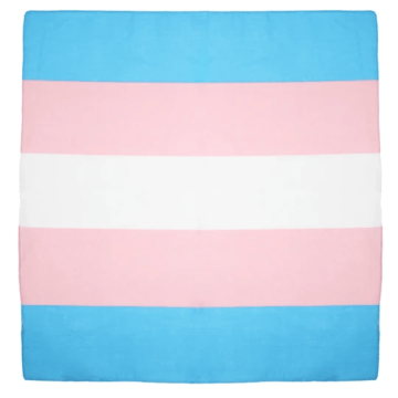 Multi Color Trans Bandanas