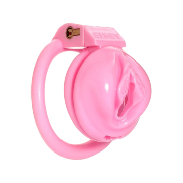 Labia Chastity Cage Medium