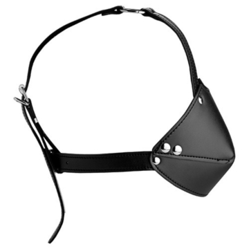 Mouth Harness with Ball Gag