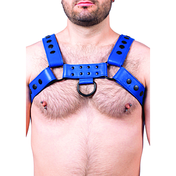 Snap Real Leather Harness Blue - Taille