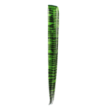 Green Zebra Hair Extensions