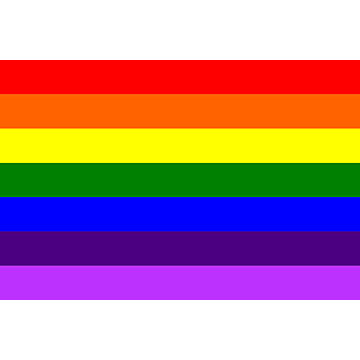 Rainbow Flag with Eyelets