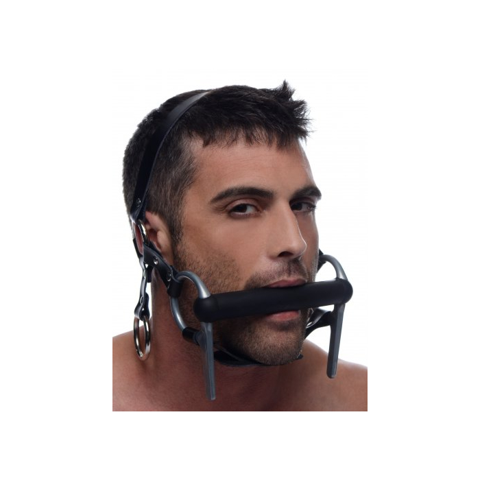 Steed Head Harness