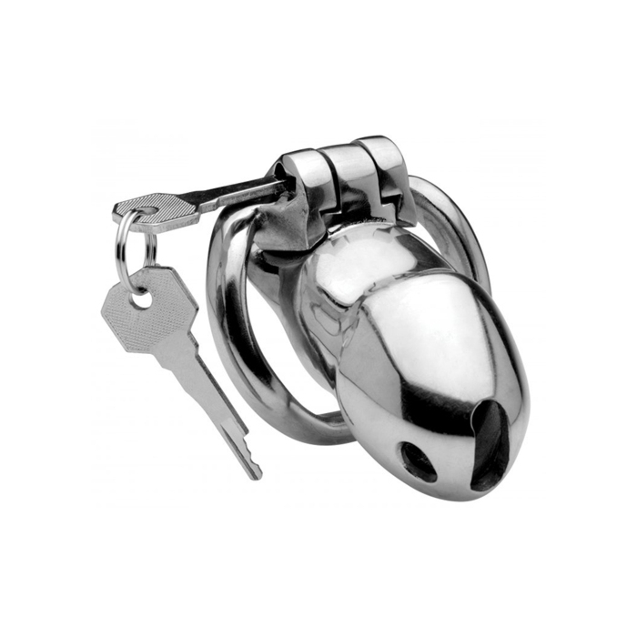 Rikers Locking Chastity Cage