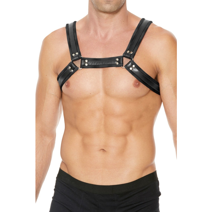 Leather Bulldog Harness with Buckles