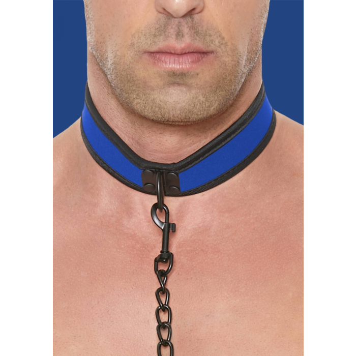 Neoprene Collar With Leash Blue