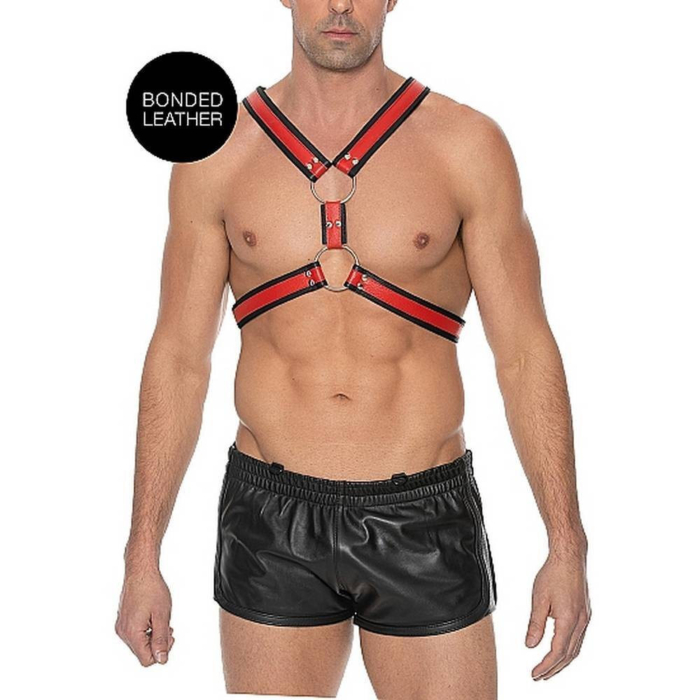 Scottish Leather Harness 