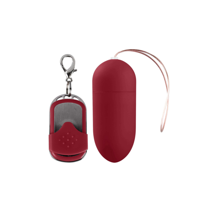 10 Speed Remote Vibrating Egg - Big - Red